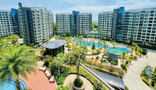 Khi “sống xanh” không còn là xu hướng mà là thực tế mỗi ngày